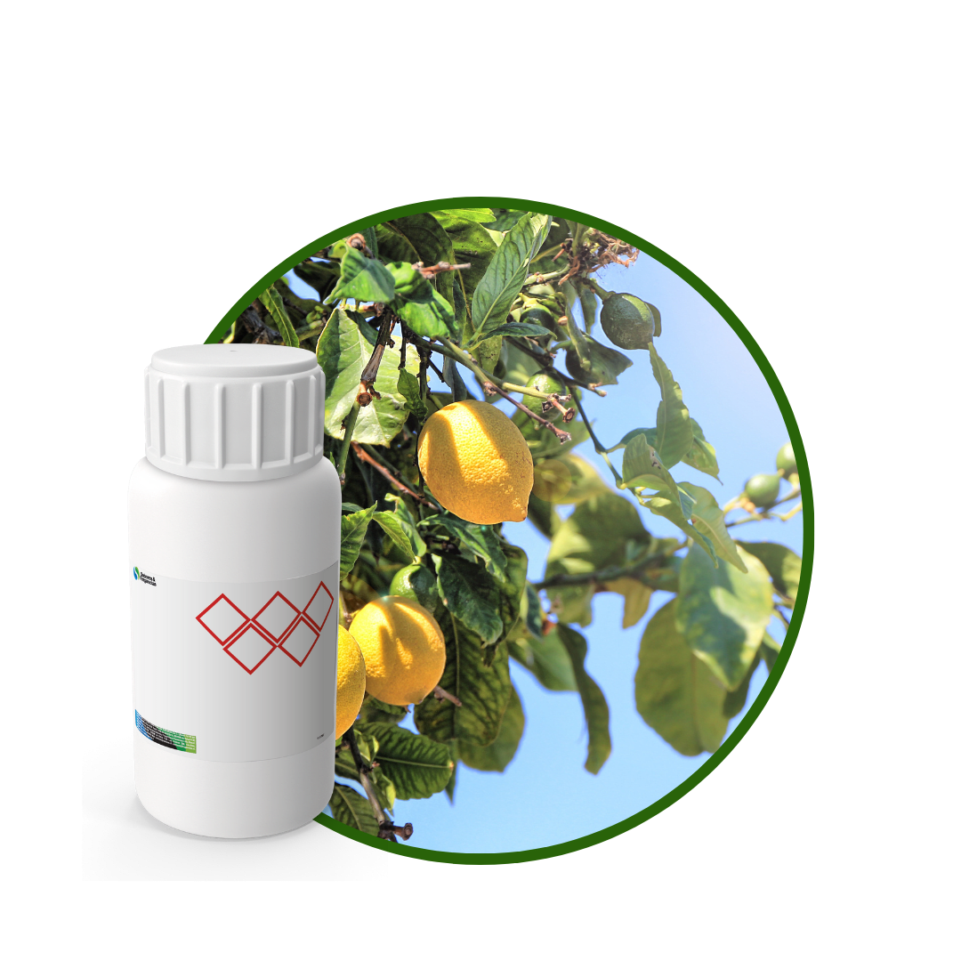 V7135218 - FRAGANCIA AWAKE BLOCKAIR1