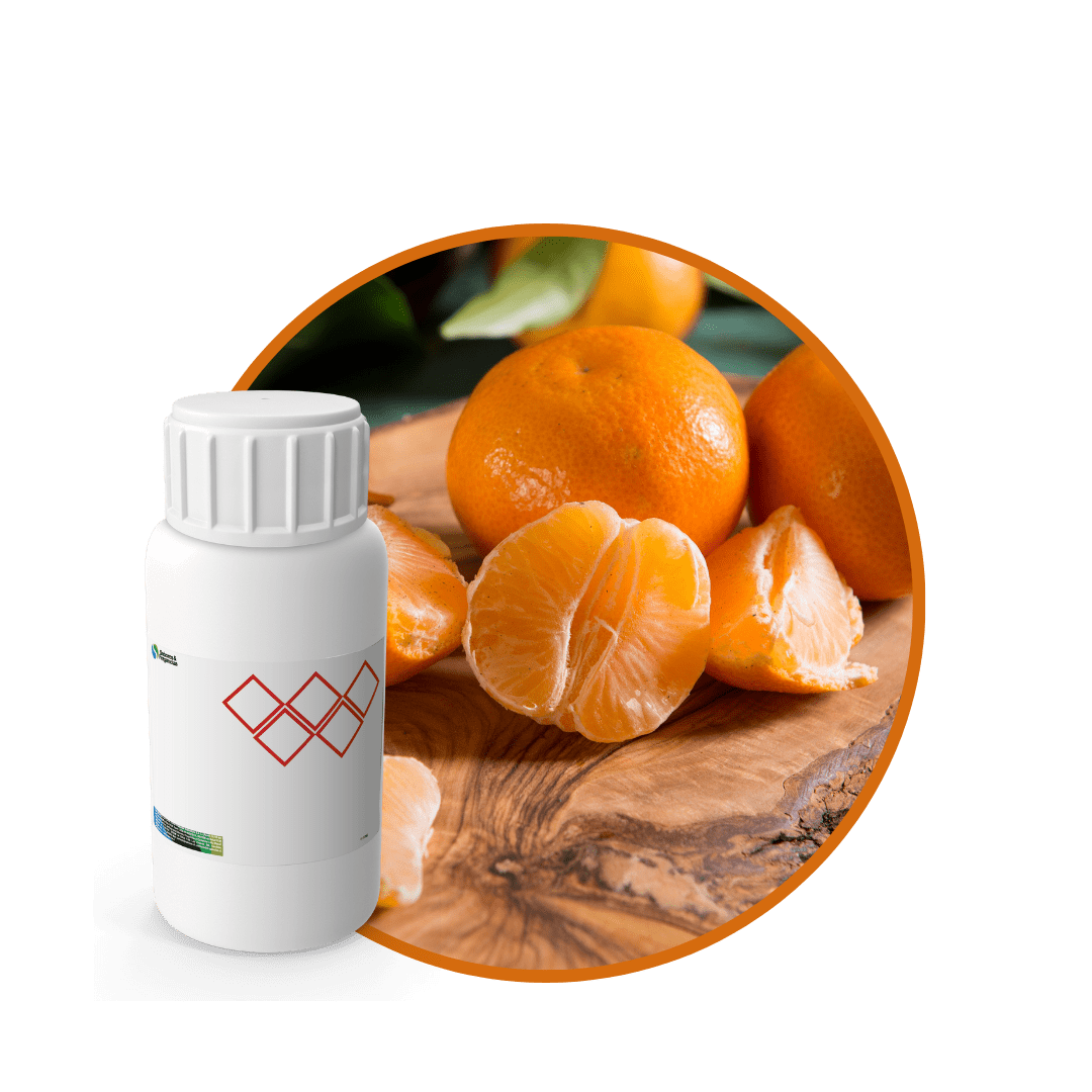 SC547444 - FRAGANCIA BIJOU POUR ELLE SOYCANDLE1