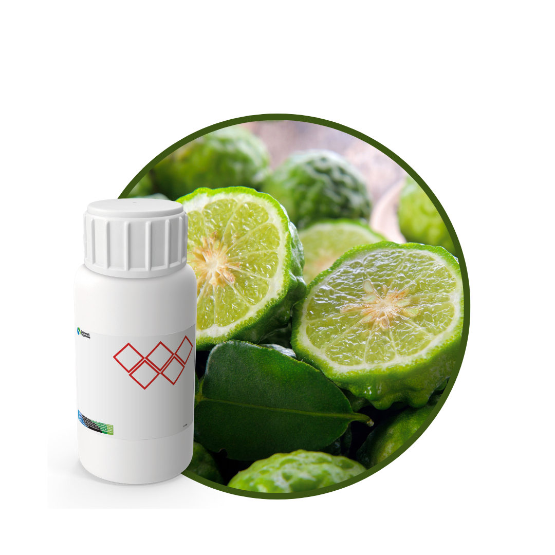 P7377118 - FRAGANCIA BLANC AIR1