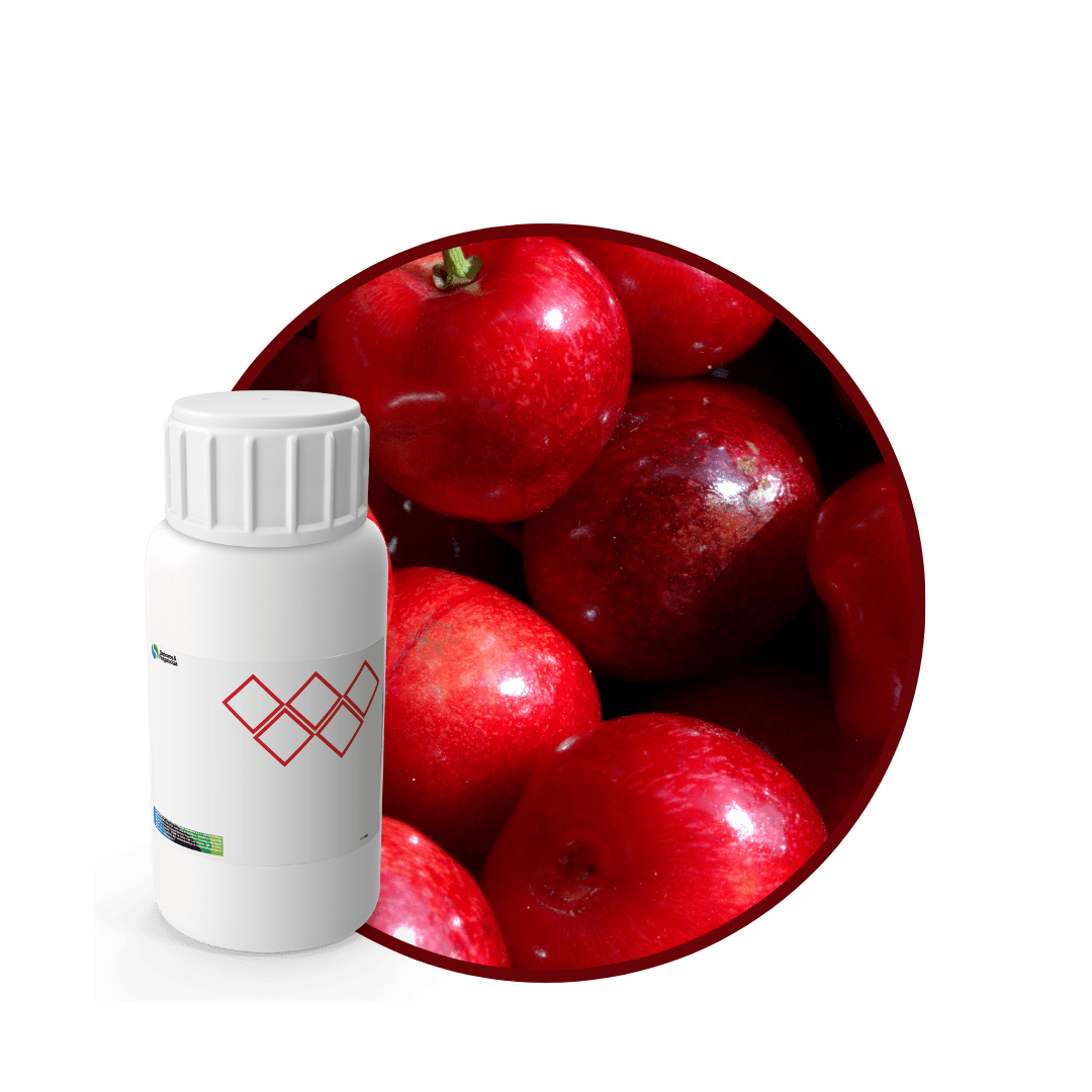 V8228318 - FRAGANCIA BLOSSOM GLAM1