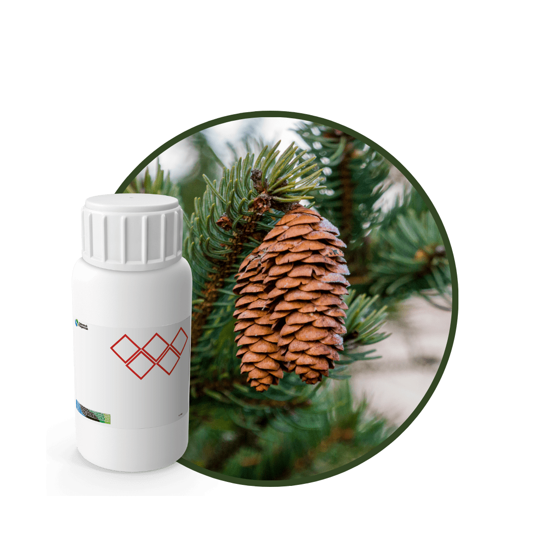 V3598618 - FRAGANCIA BREEZE BLOCKAIR1