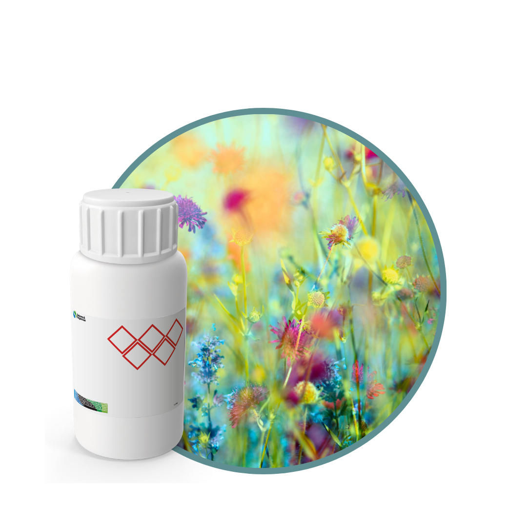 V7173518 - FRAGANCIA CANELA FLORIDA MYSTIC1