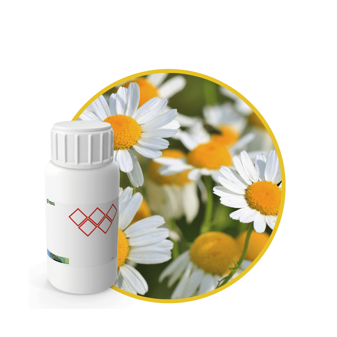 CD478044 - FRAGANCIA CHAMOMILLE CANDLES1