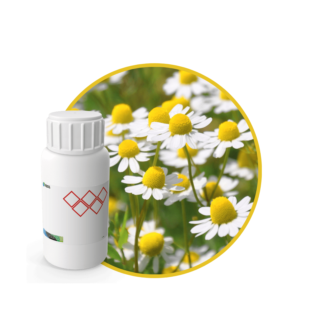 CC817518 - FRAGANCIA CHAMOMILE  CARE1