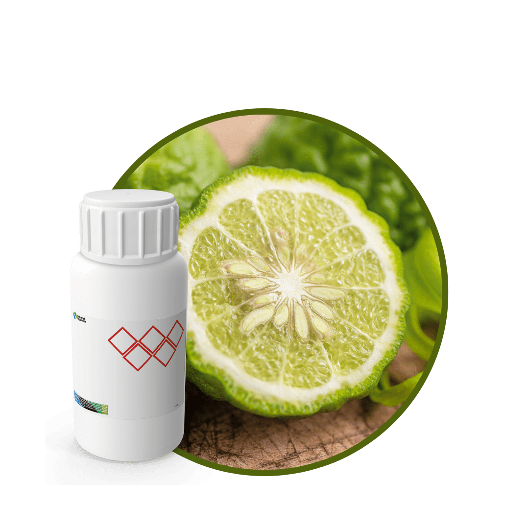 CR541518 - FRAGANCIA CHARMING CARE SPA1