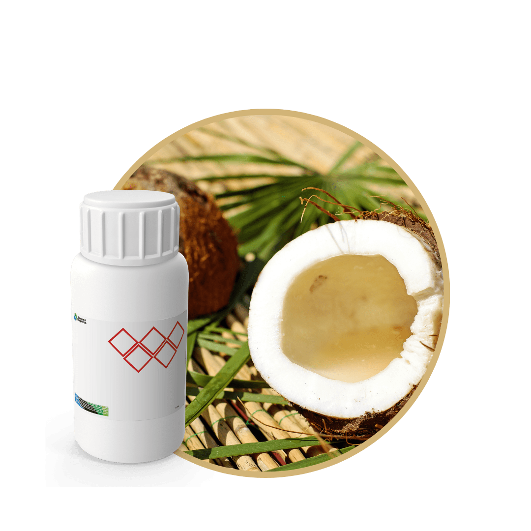 SC539944 - FRAGANCIA COCONUT LIME SOYCANDLE1