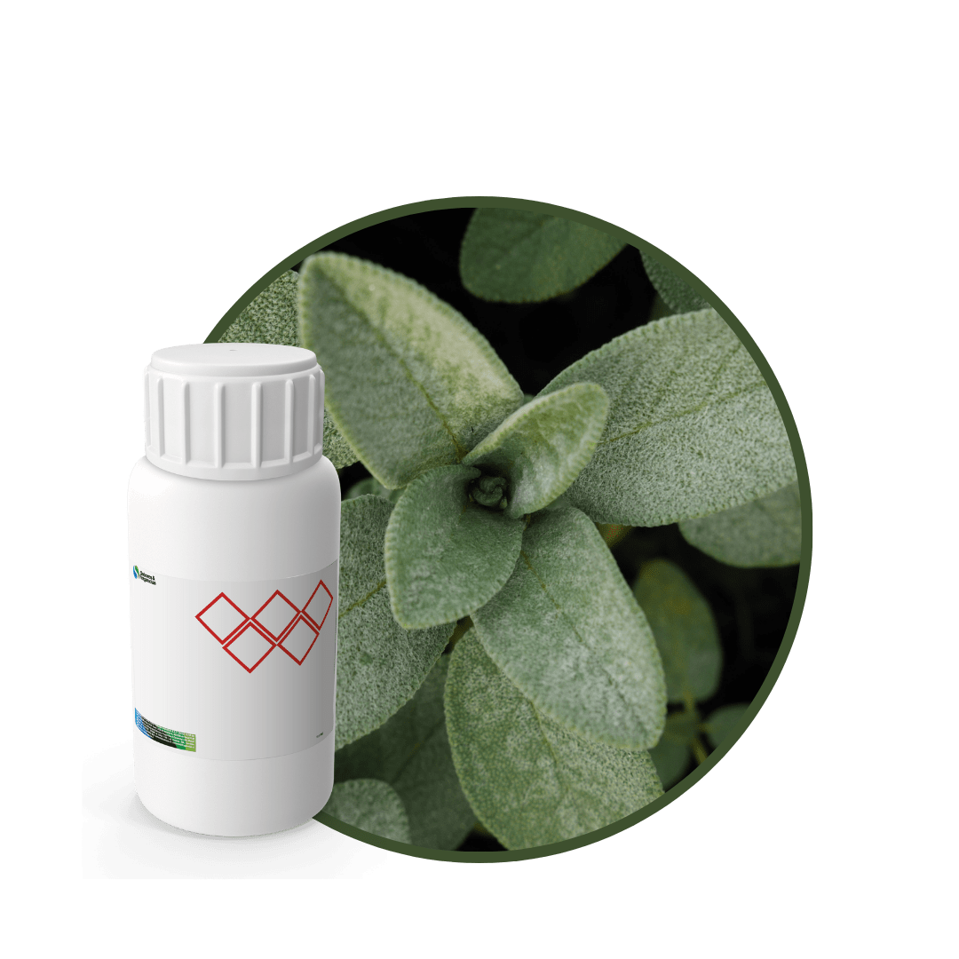 V0454818 - FRAGANCIA CYRUS SOYCANDLE1