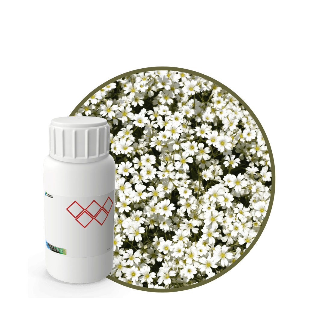 CC822518 - FRAGANCIA DOVES PLUS CARE1