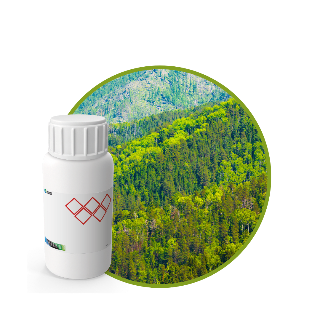 P4096118 - FRAGANCIA DRAGO JB1