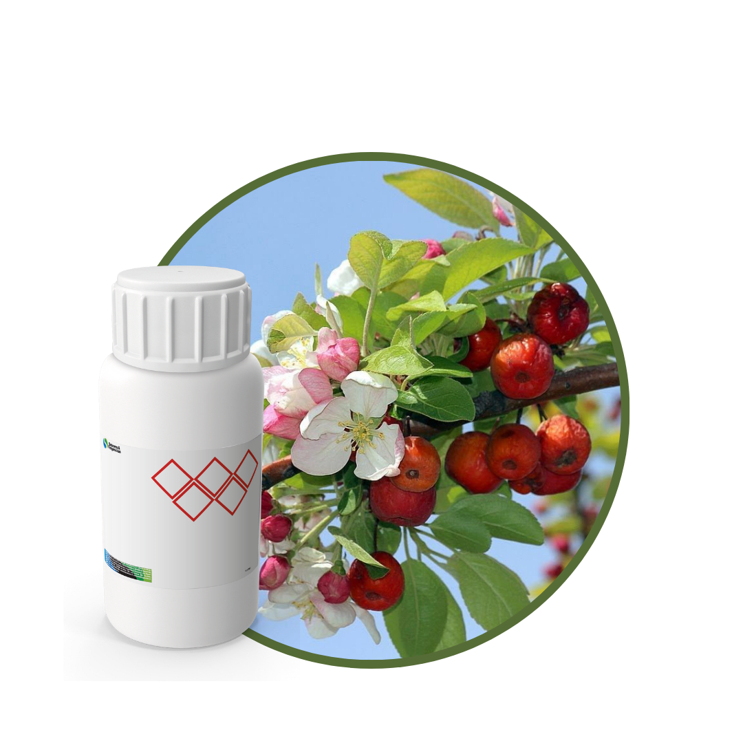 AC556418 - FRAGANCIA EAU FEMME INTENSE1