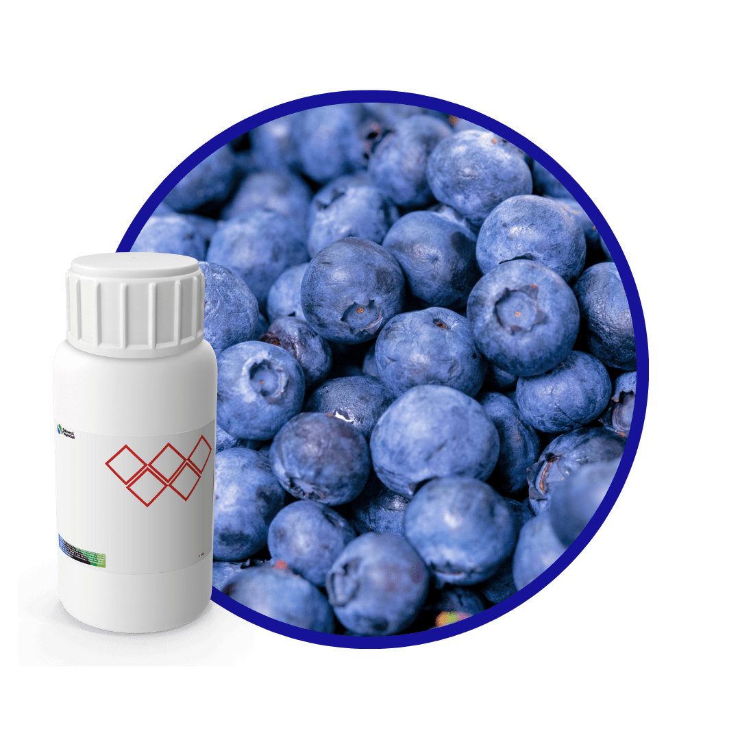 A74047LX - SABOR ARÁNDANO NATURAL1