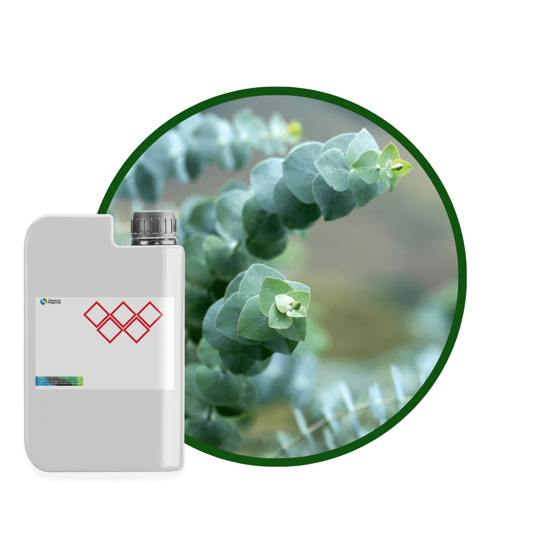 4E5306LX - SABOR EUCALIPTUS NATURAL2