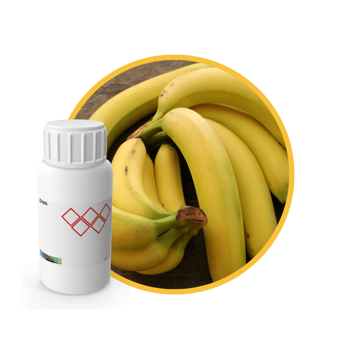 P37768LX - SABOR PLATANO NATURAL1