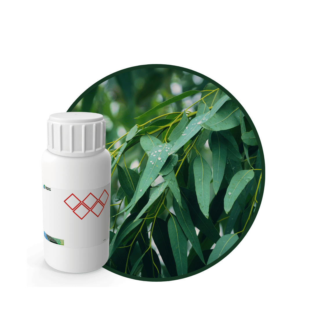 V9851618 - FRAGANCIA EUCALYPTUS CARE1
