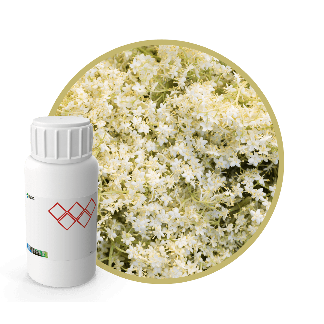 F59606LX - SABOR FLOR DE SAUCO NATURAL1