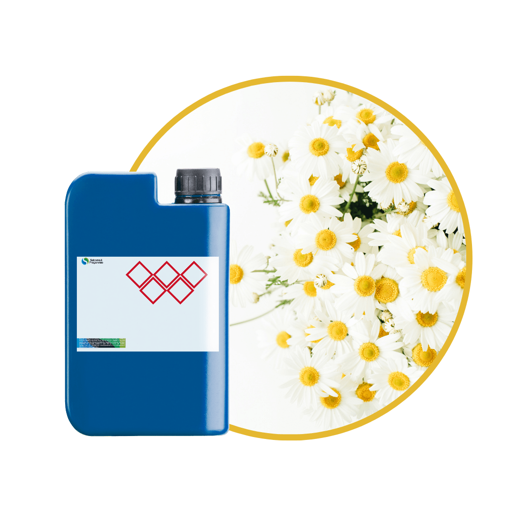 V2826218 - FRAGANCIA FANCY AIR2