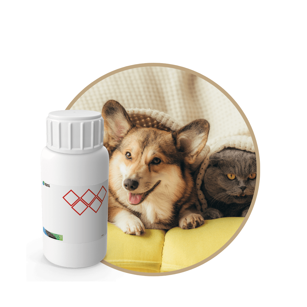 V4515018 - FRAGANCIA FANTASY PETS1