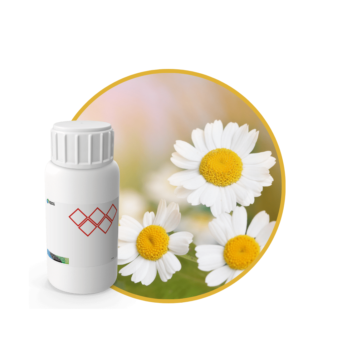 Z2642618 - FRAGANCIA FLOWER LOVE AIR1