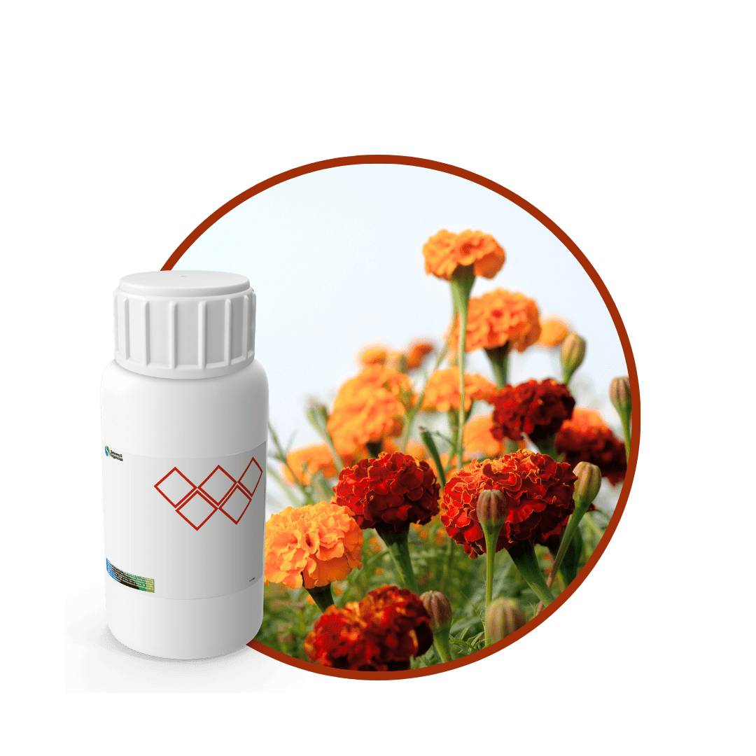 Z7317618 - FRAGANCIA FLOWERS BLOCKAIR1