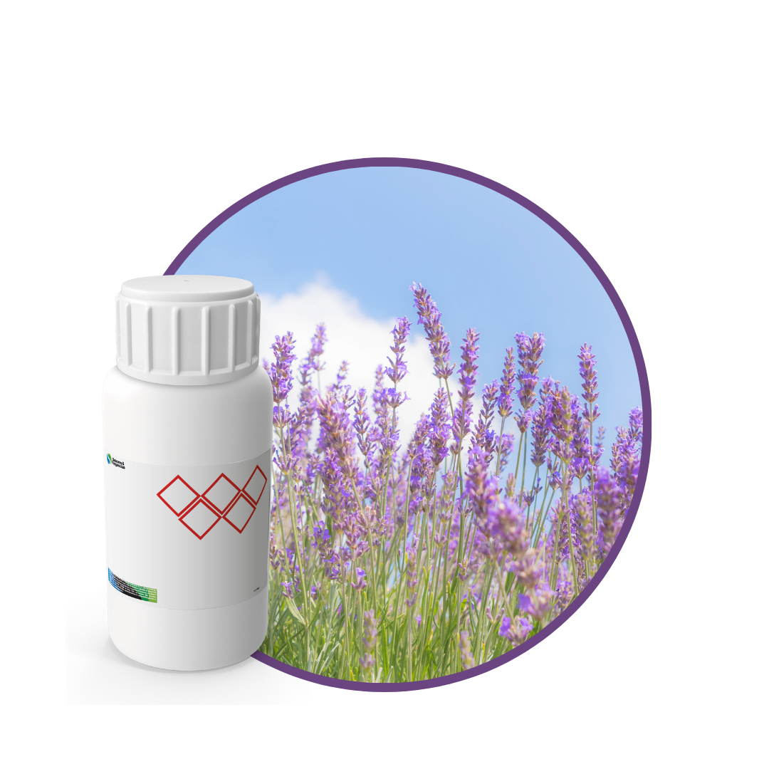 V3440718 - FRAGANCIA FRESH LAVENDER CARE1