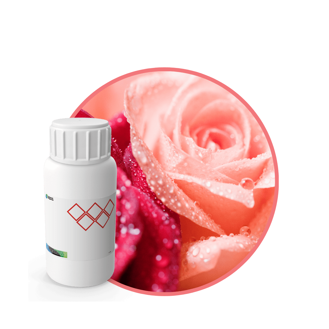 V2959718 - FRAGANCIA FRESH ROSE AIR1