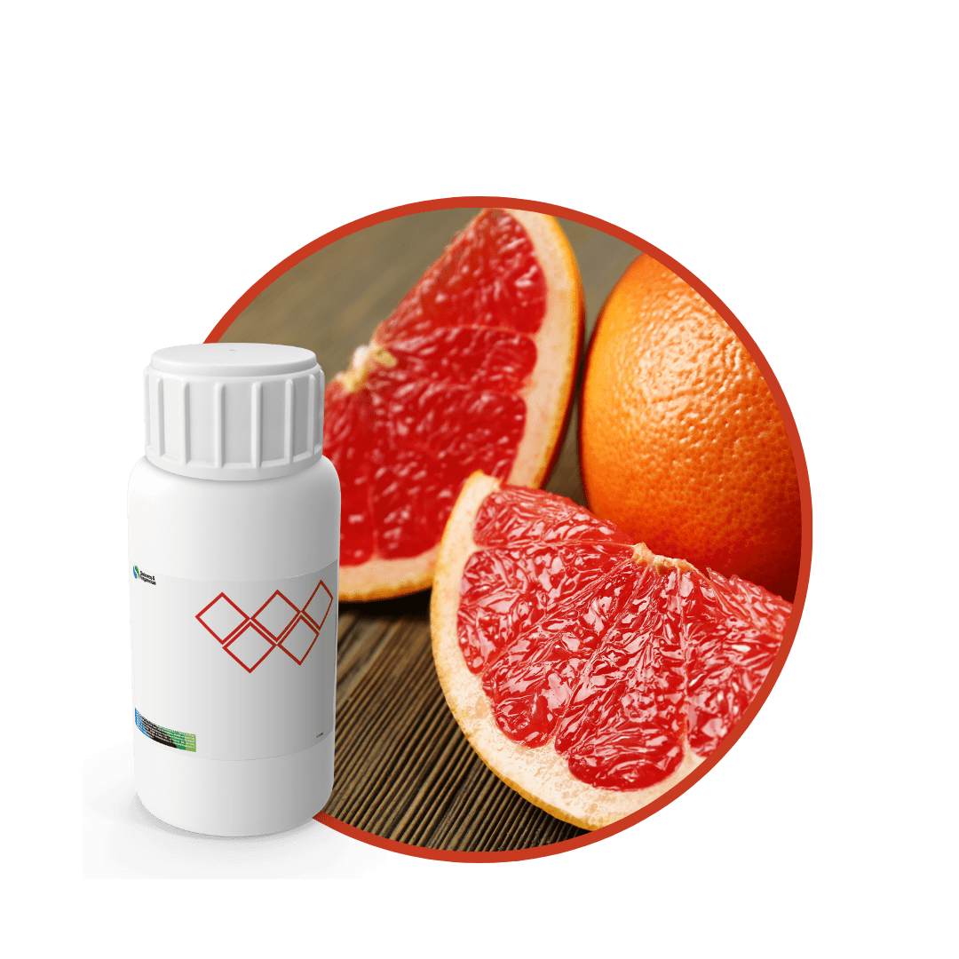 Z4806018 - FRAGANCIA GENTLE SOYCANDLE1