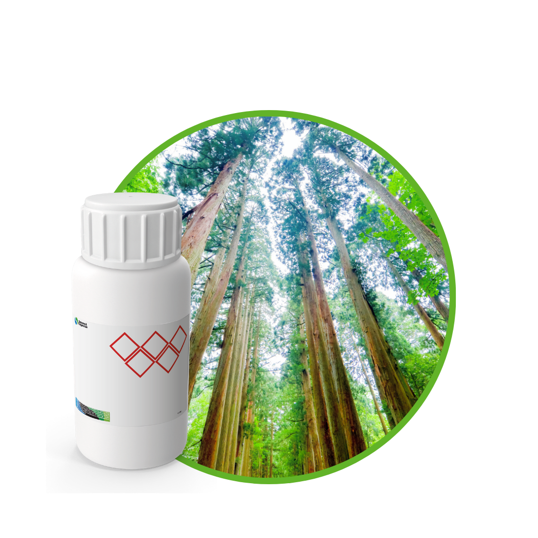 V7787918 - FRAGANCIA GINGER WOODY AIR1