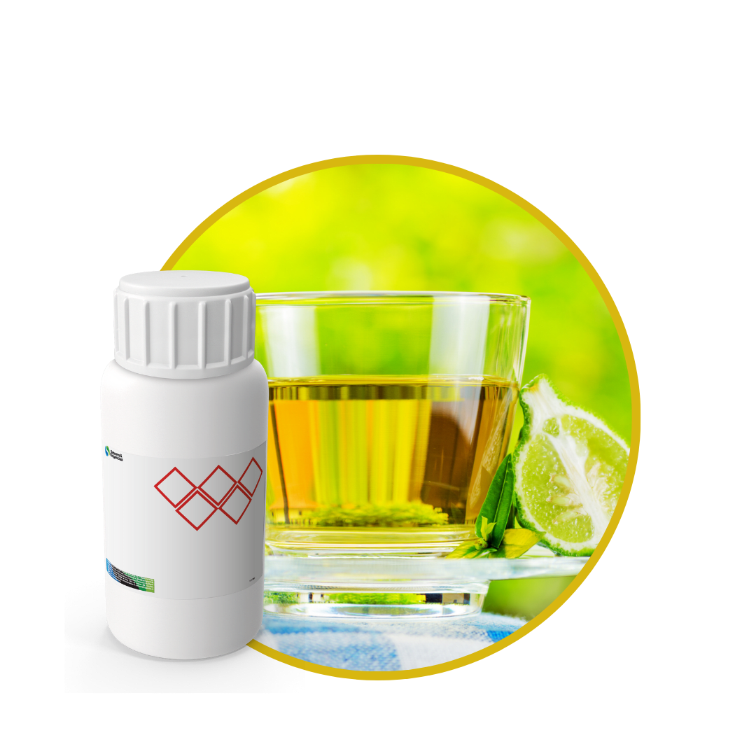 V8479018 - FRAGANCIA GREEN TEA CANDLES II1