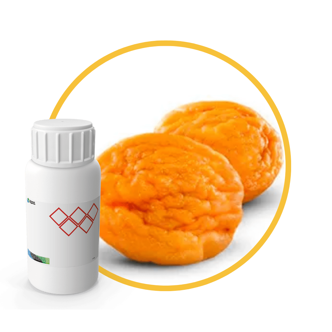 H34023LX - SABOR HUESILLO1