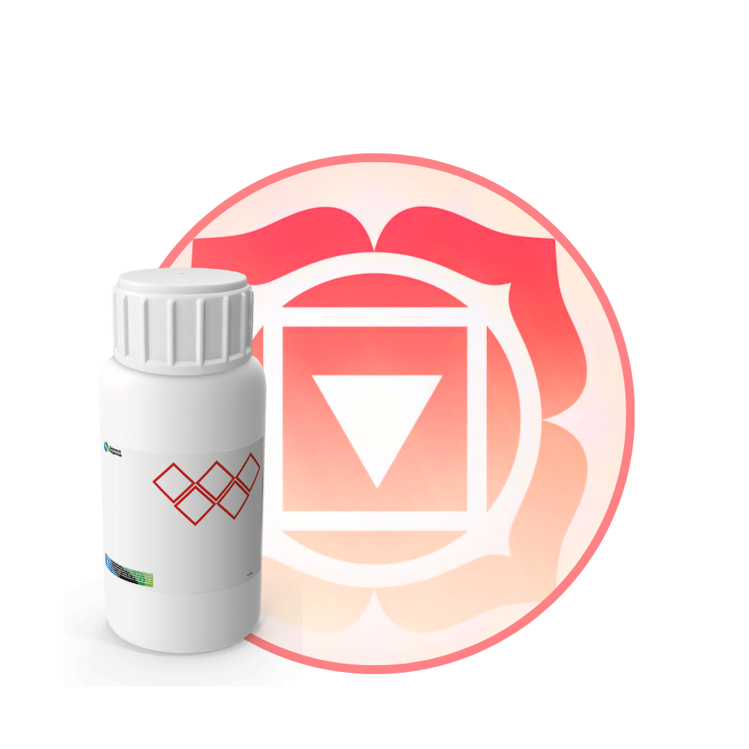 V2355818 - FRAGANCIA I AM MYSTIC1