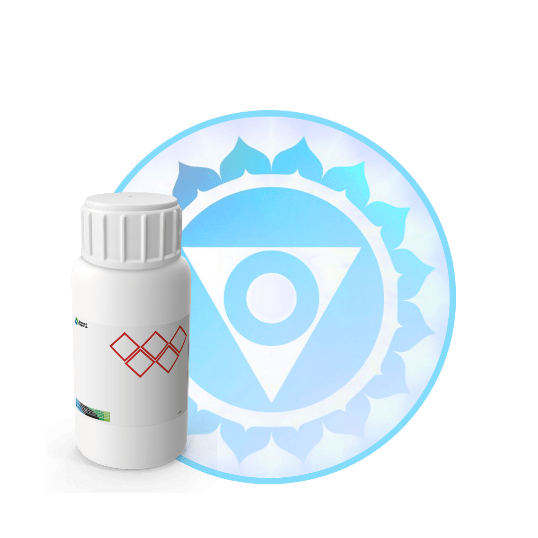 V2144818 - FRAGANCIA I SPEAK MYSTIC1