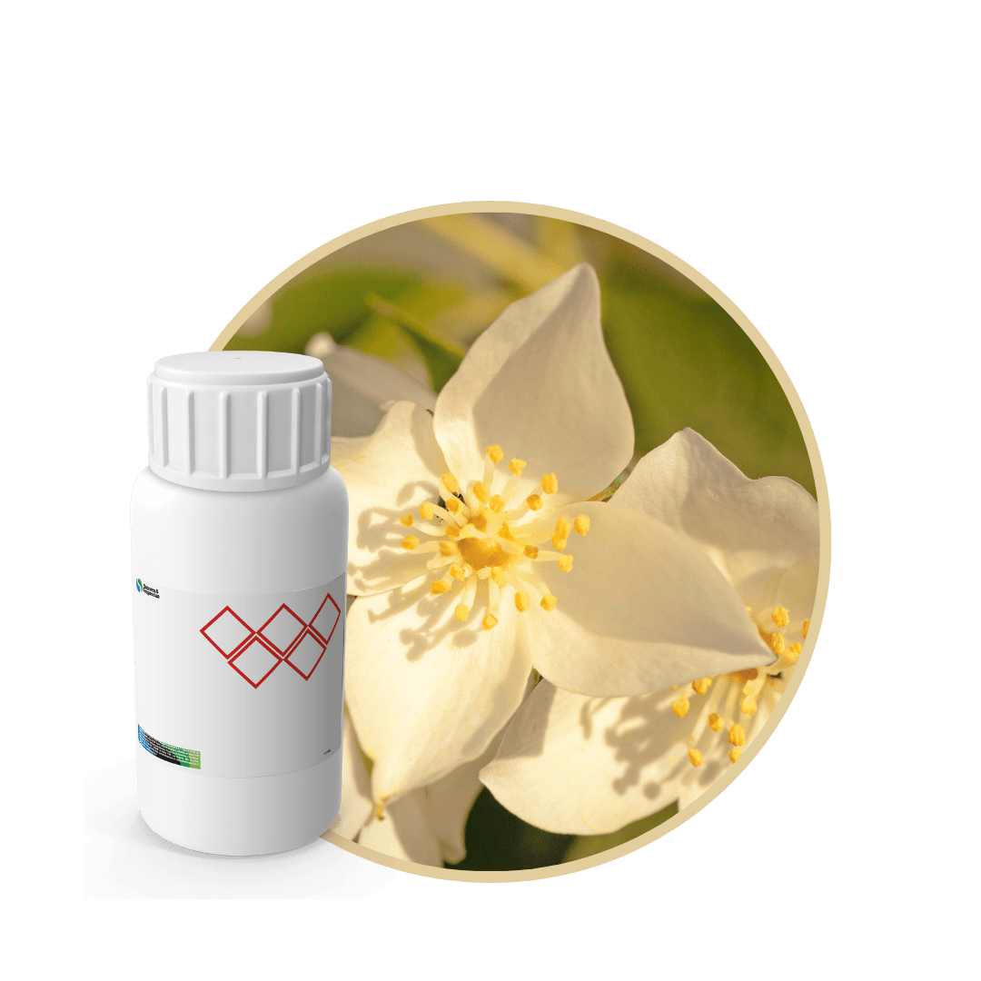 Z0327318 - FRAGANCIA ICY GREEN AIR1