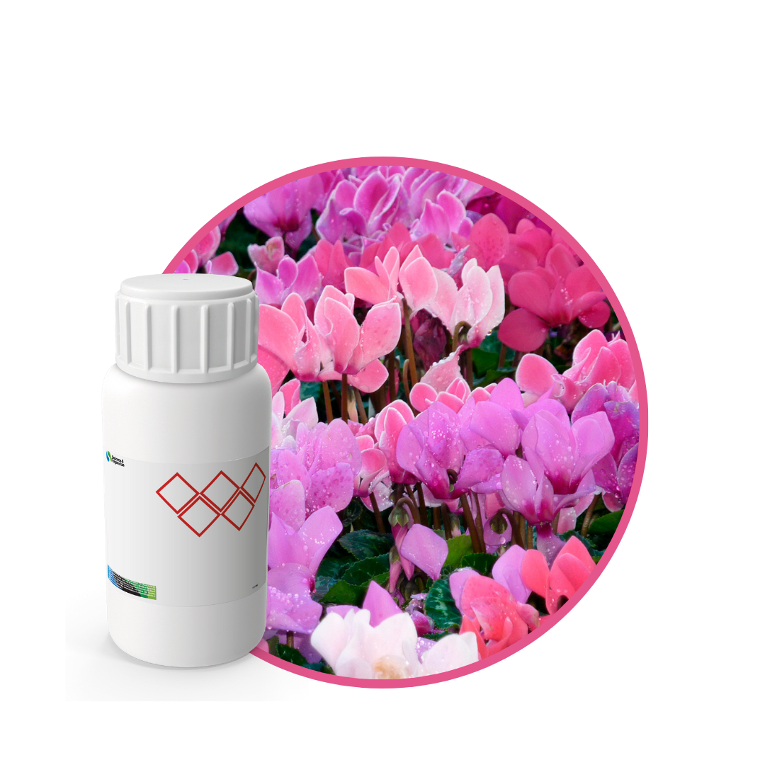 V8826318 - FRAGANCIA IPANEMA CAR INTENSE1