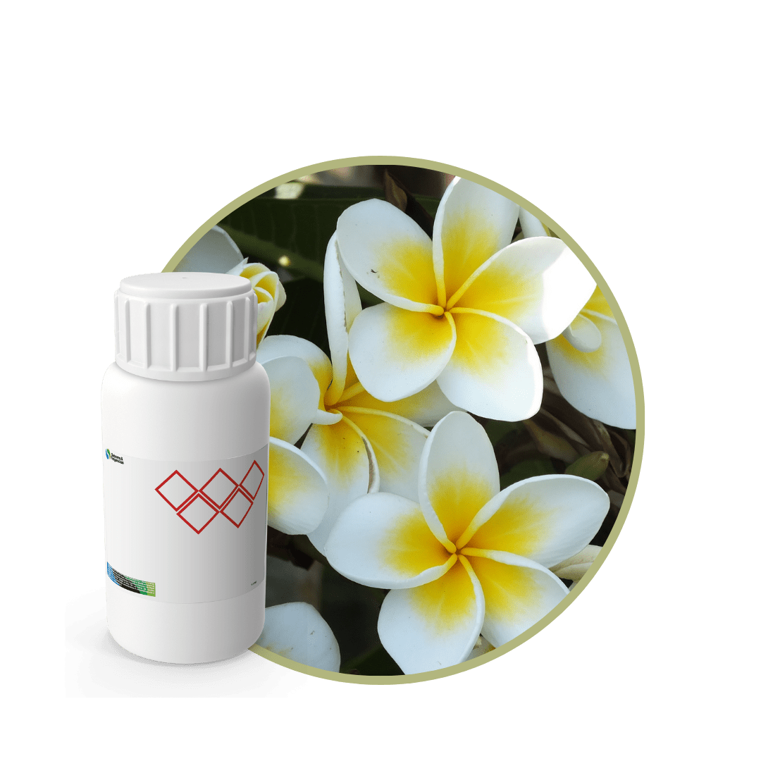 C9784718 - FRAGANCIA JASMINE RELAX1