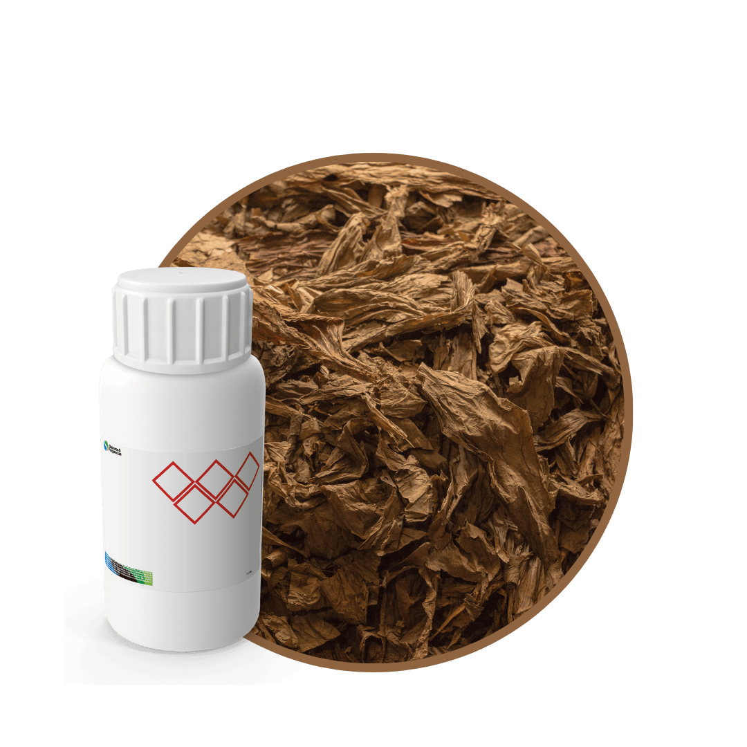 SC548444-FRAGANCIA JOLIE SOYCANDLE 1