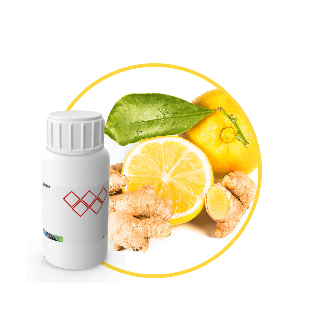 V7733118 - FRAGANCIA JOY SPARK SOYCANDLE1