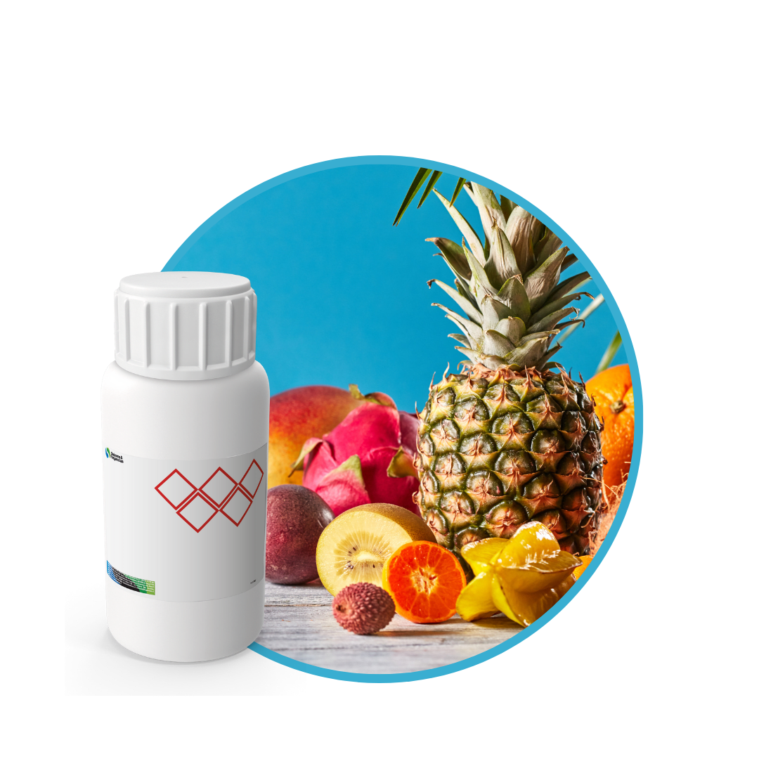 V1247818 - FRAGANCIA KAIROS SOYCANDLE1