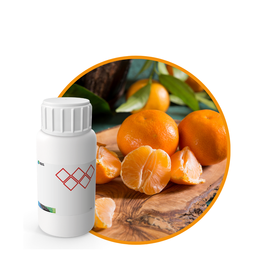 V8770118-FRAGANCIA KYRA SOYCANDLE1