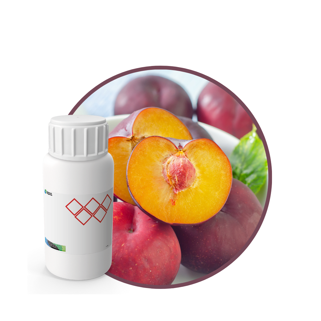 V0341718 - FRAGANCIA LUME SOYCANDLE1