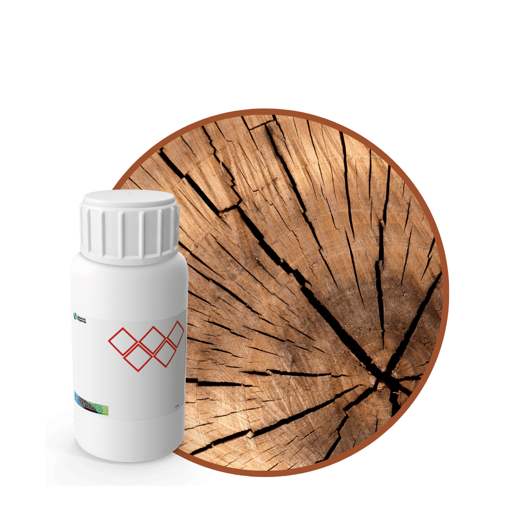 V1558518 - FRAGANCIA LUXE CAR INTENSE1