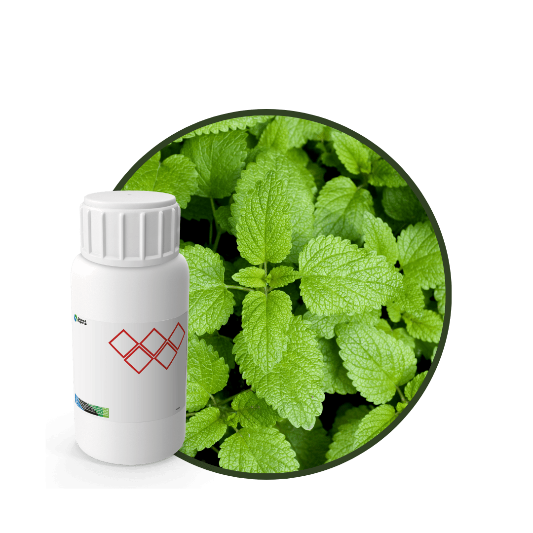 AC597518 - FRAGANCIA MELISSA CARE1