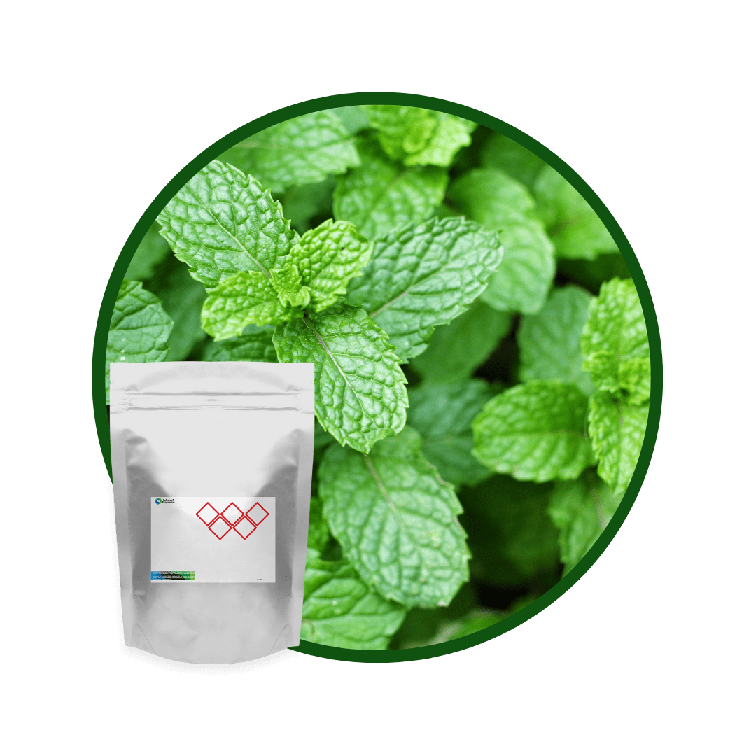 PM6132PX - SABOR MENTA EN POLVO1