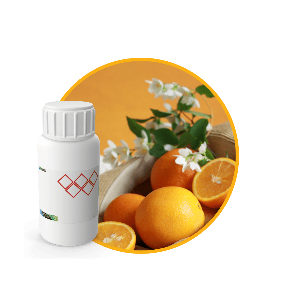 V1216218 - FRAGANCIA MERAKI SOYCANDLE1