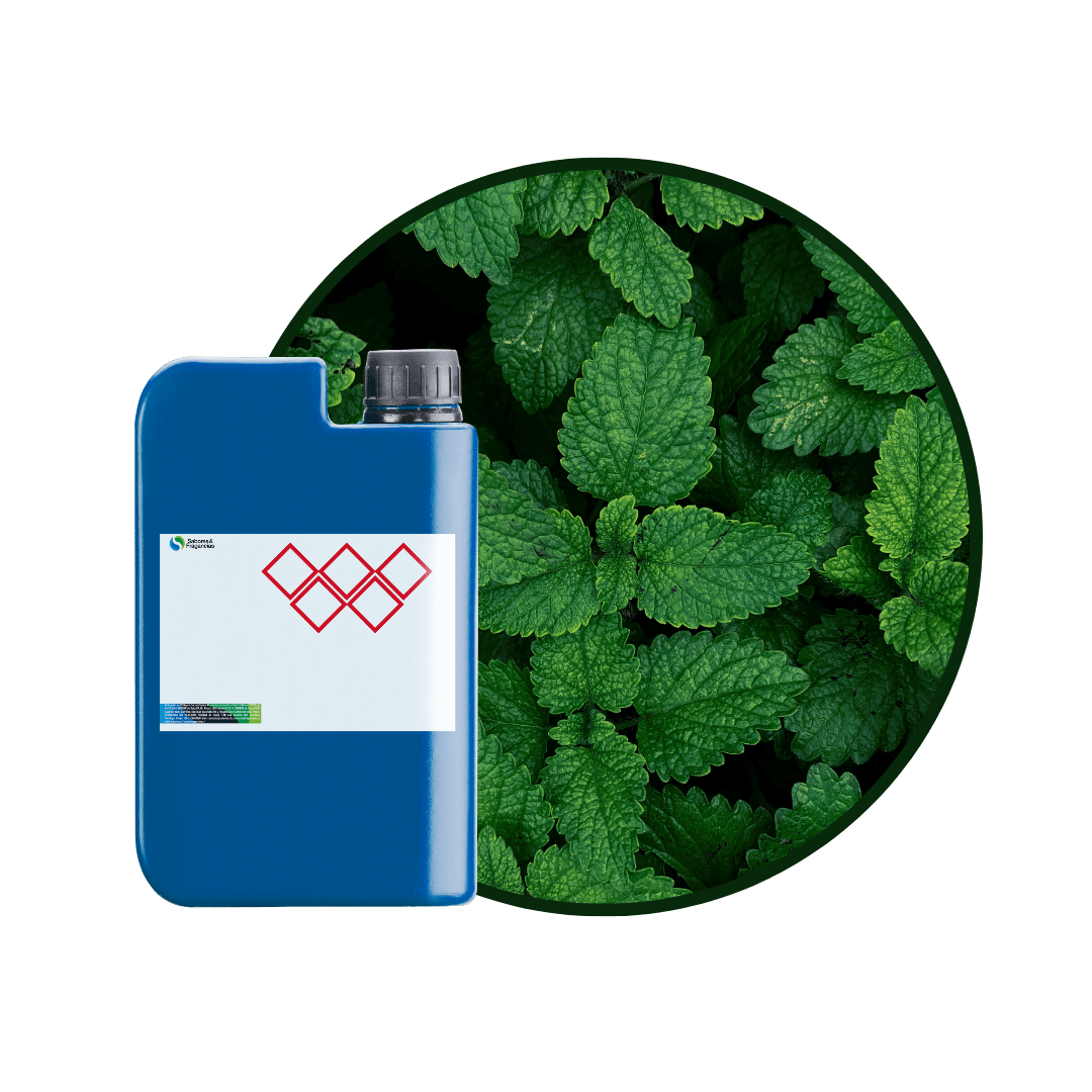 AC594518 - FRAGANCIA MINT CARE2