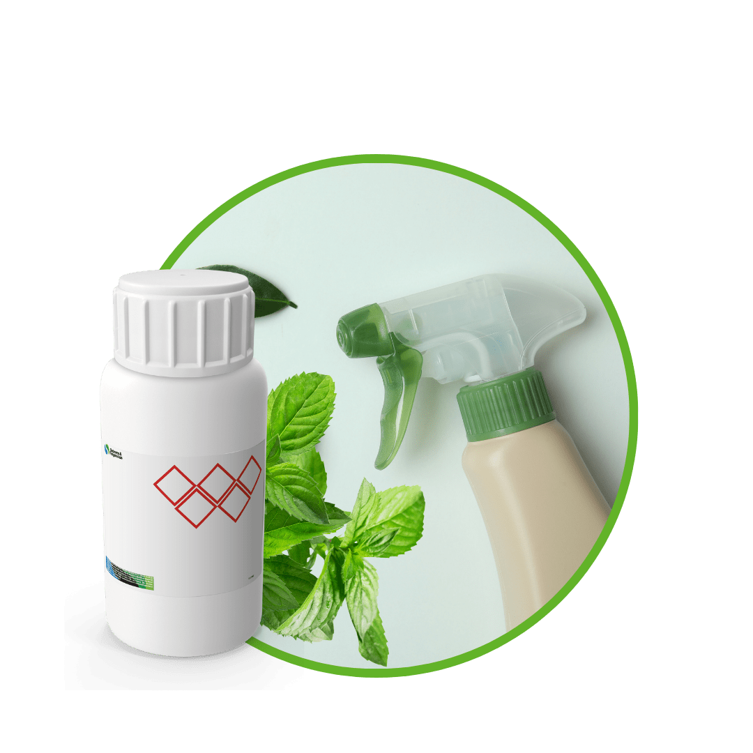 C6952118 - FRAGANCIA MINT INTENSE1