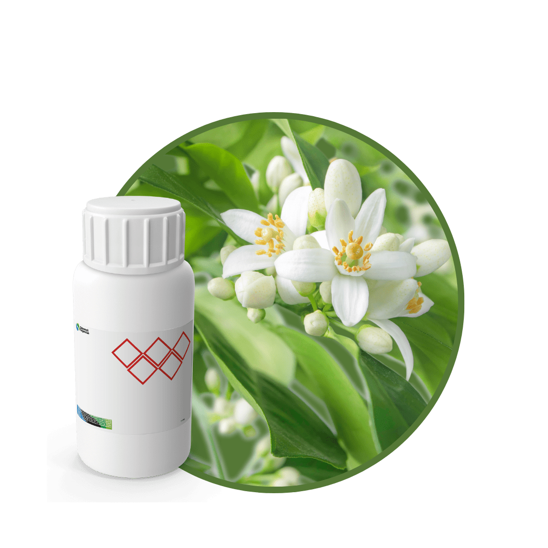 AR588444 - FRAGANCIA MODERN AIR1