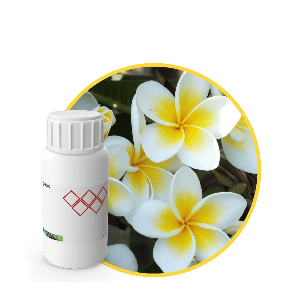 V6898918 - FRAGANCIA MONETTE EF NS1