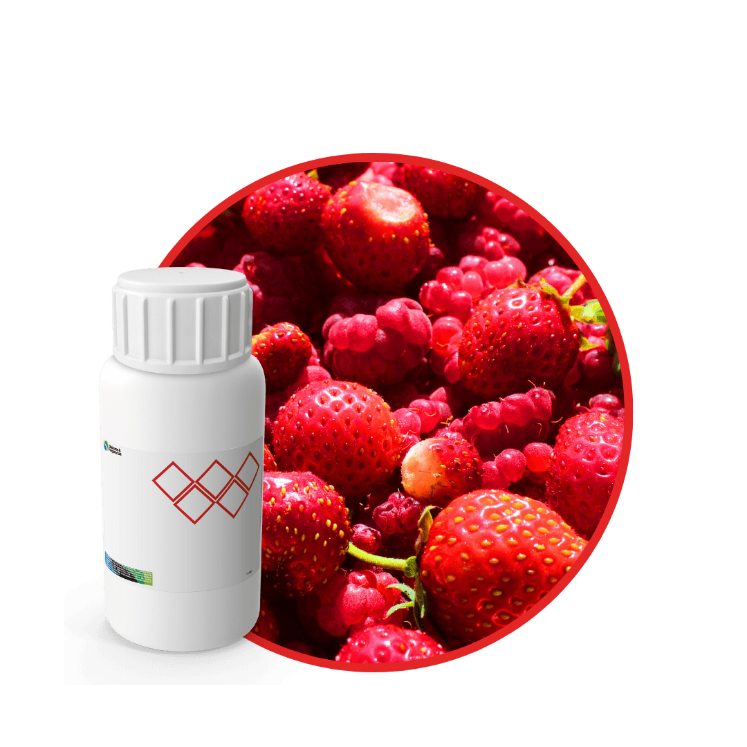 SC577844 - FRAGANCIA NEPAL PRUNE SOYCANDLE1