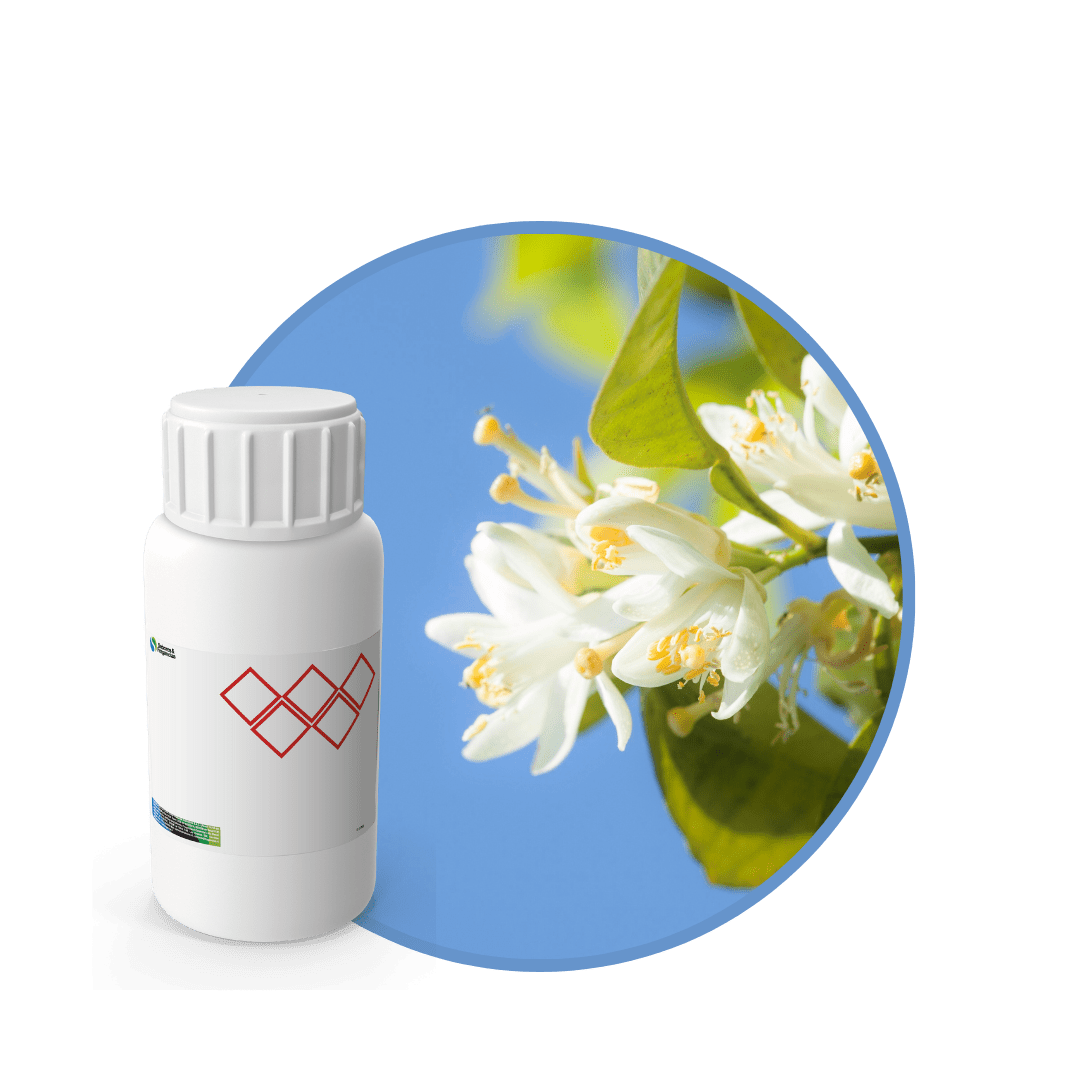V1613018 - FRAGANCIA NEROLI NOIR EF1