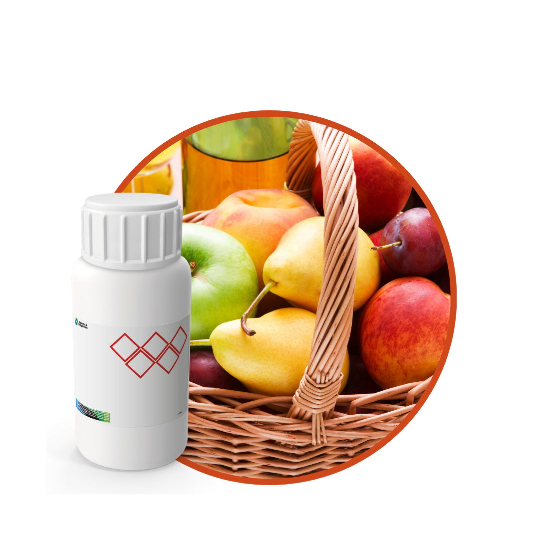 AC656318 - FRAGANCIA OPEN AIR1